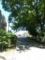 ул. Парковая, 18