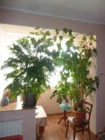 бульвар Гайдара,7/2