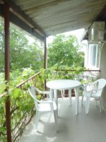 ул. Александрийская/комнаты