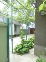 ул. Александрийская/комнаты