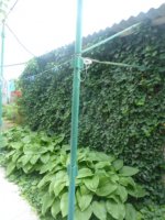 ул. Александрийская/комнаты