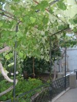 ул. Степная, дом в Бурлачей Балке