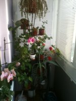 Бульвар Гайдара,5/2