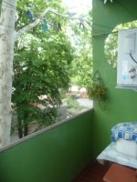 ул. Александрийская, 15